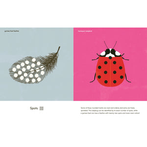 Wings, Waves, and Webs - Patterns in Nature-Greystone-Modern Rascals