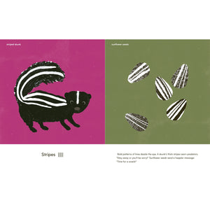 Wings, Waves, and Webs - Patterns in Nature-Greystone-Modern Rascals