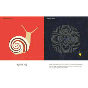 Wings, Waves, and Webs - Patterns in Nature-Greystone-Modern Rascals