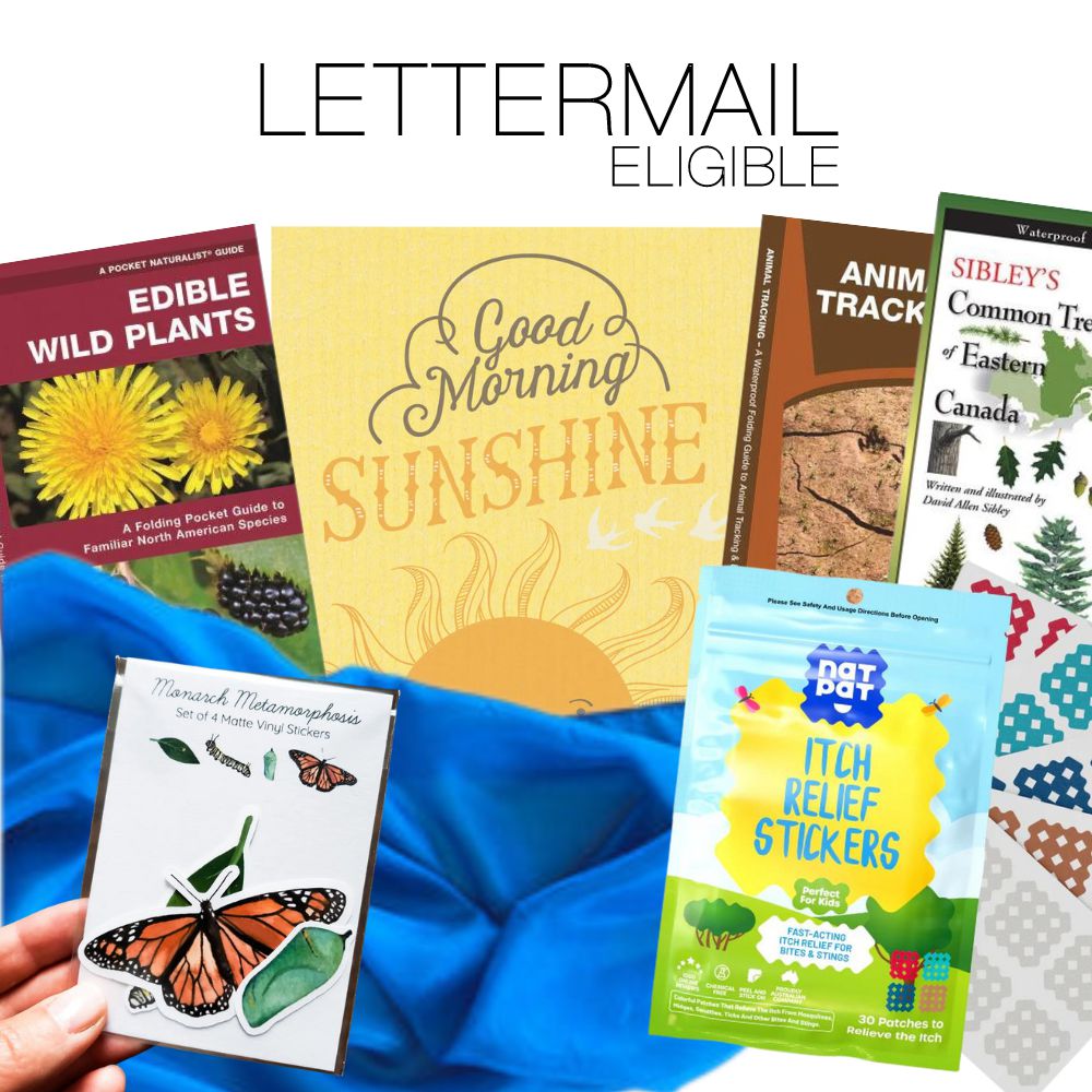 Lettermail