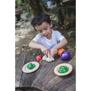 5 Colours Veggie Set-PlanToys-Modern Rascals
