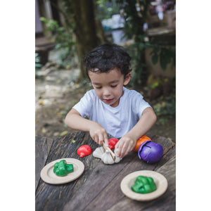 5 Colours Veggie Set-PlanToys-Modern Rascals