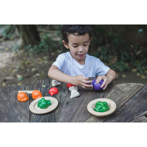5 Colours Veggie Set-PlanToys-Modern Rascals