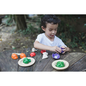 5 Colours Veggie Set-PlanToys-Modern Rascals