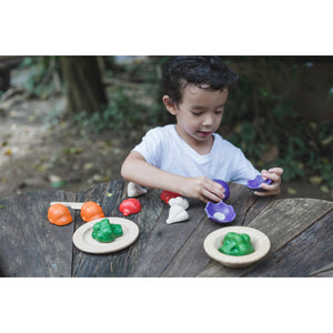 5 Colours Veggie Set-PlanToys-Modern Rascals