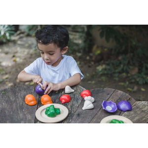 5 Colours Veggie Set-PlanToys-Modern Rascals