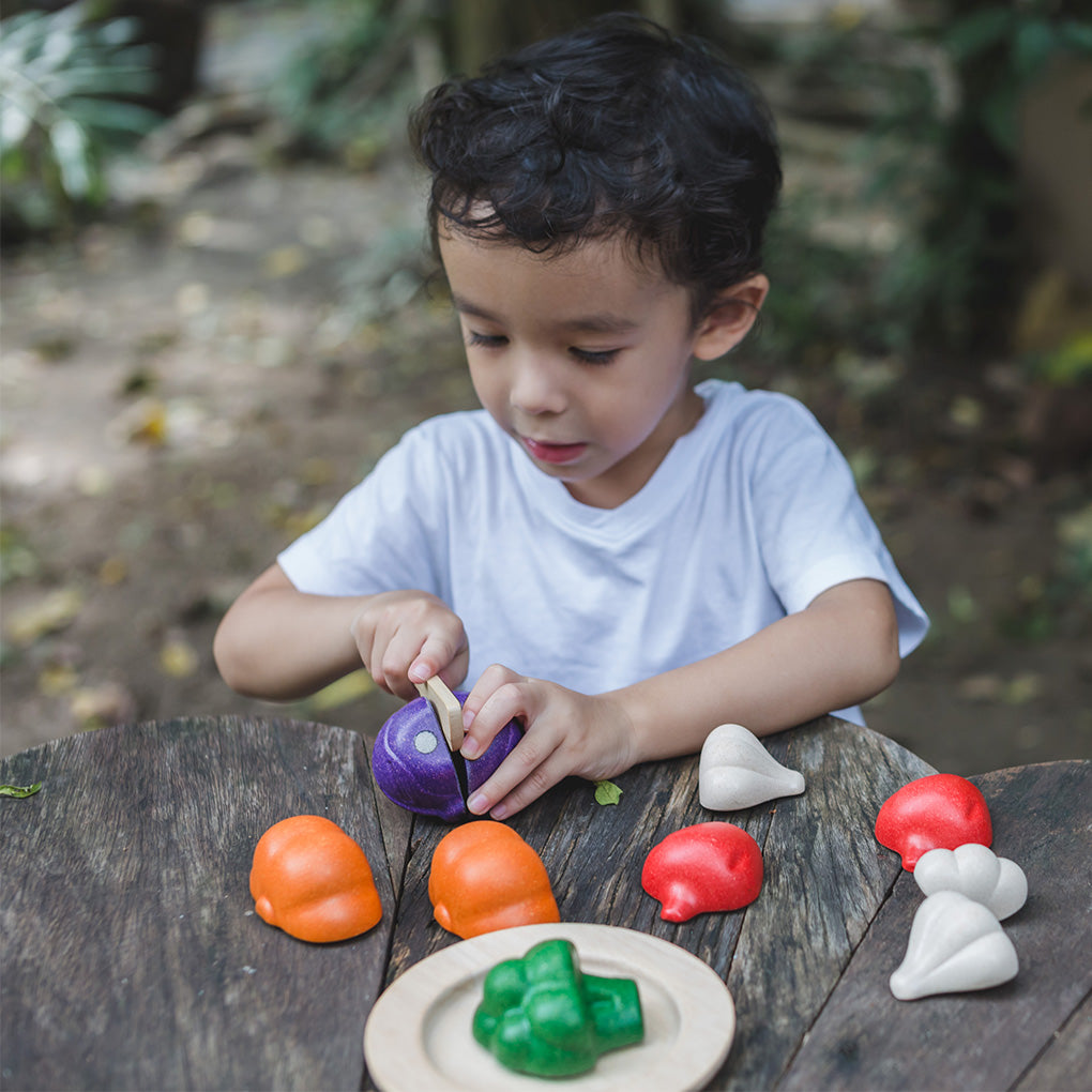 5 Colours Veggie Set-PlanToys-Modern Rascals