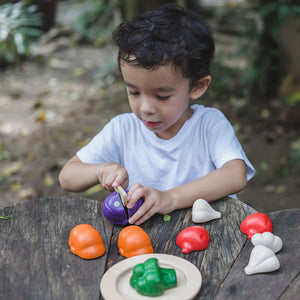 5 Colours Veggie Set-PlanToys-Modern Rascals