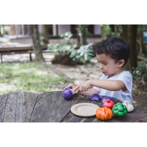 5 Colours Veggie Set-PlanToys-Modern Rascals