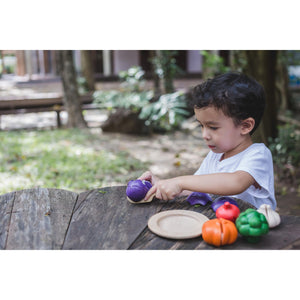 5 Colours Veggie Set-PlanToys-Modern Rascals