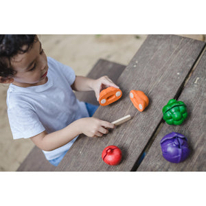 5 Colours Veggie Set-PlanToys-Modern Rascals