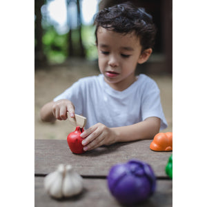 5 Colours Veggie Set-PlanToys-Modern Rascals