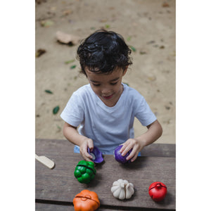 5 Colours Veggie Set-PlanToys-Modern Rascals