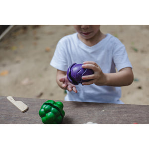 5 Colours Veggie Set-PlanToys-Modern Rascals