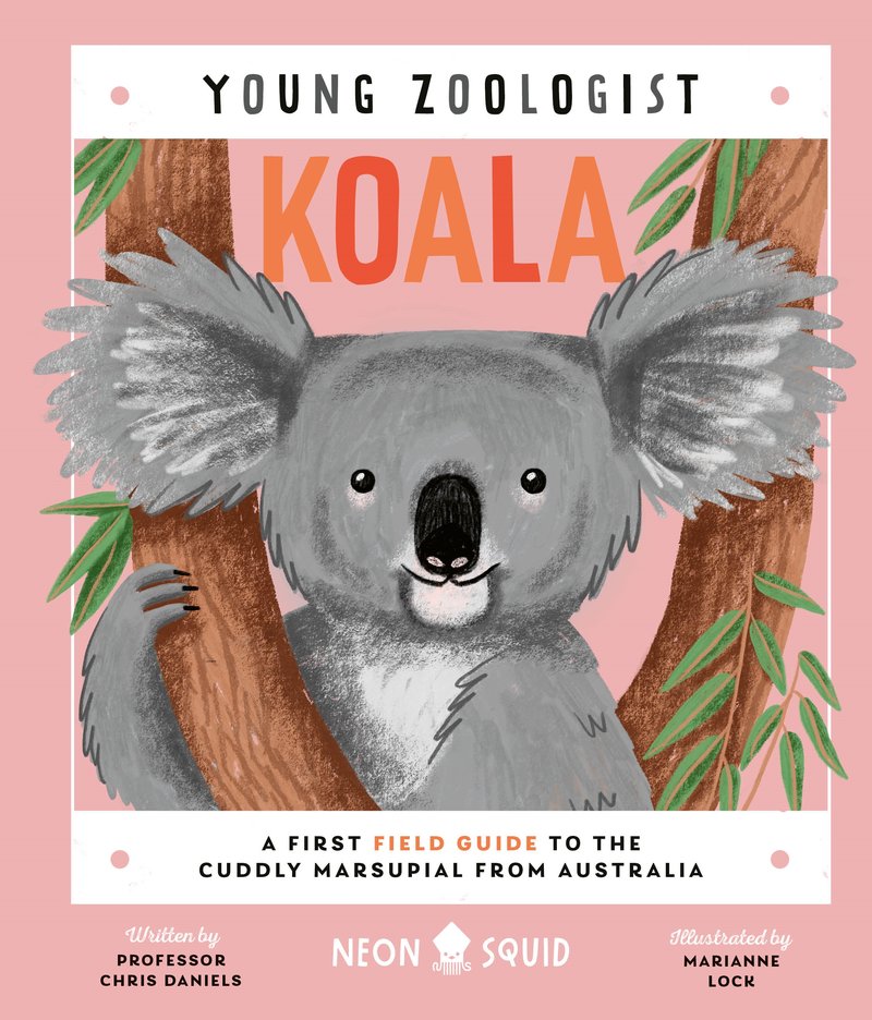 Young Zoologist - Koala - A First Field Guide to the Cuddly Marsupial from Australia