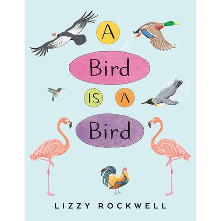 A Bird Is A Bird-Penguin Random House-Modern Rascals
