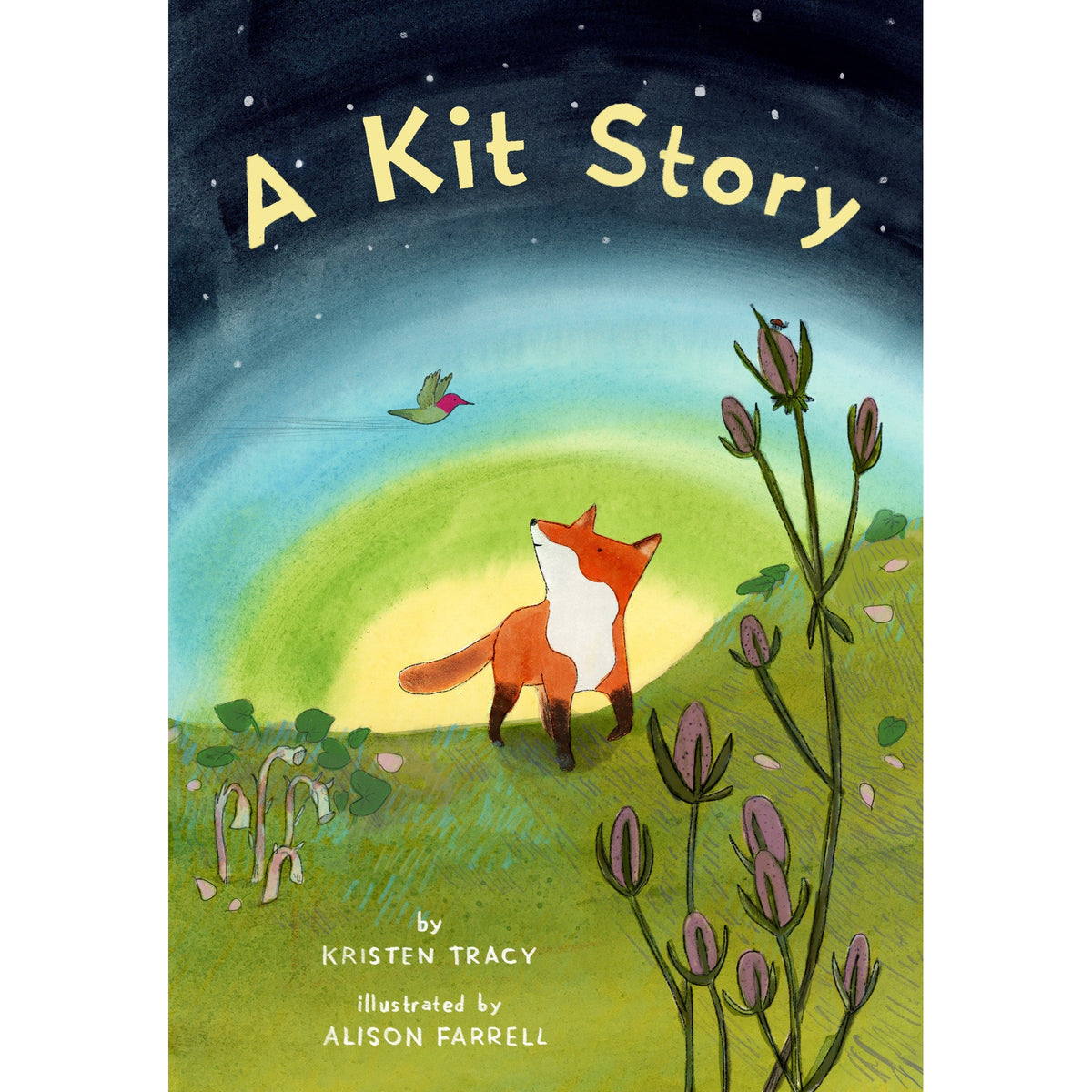 A Kit Story-Raincoast Books-Modern Rascals
