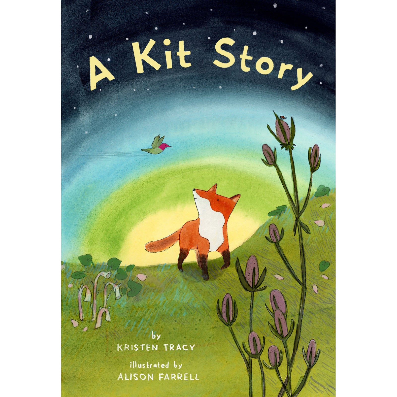 A Kit Story-Raincoast Books-Modern Rascals