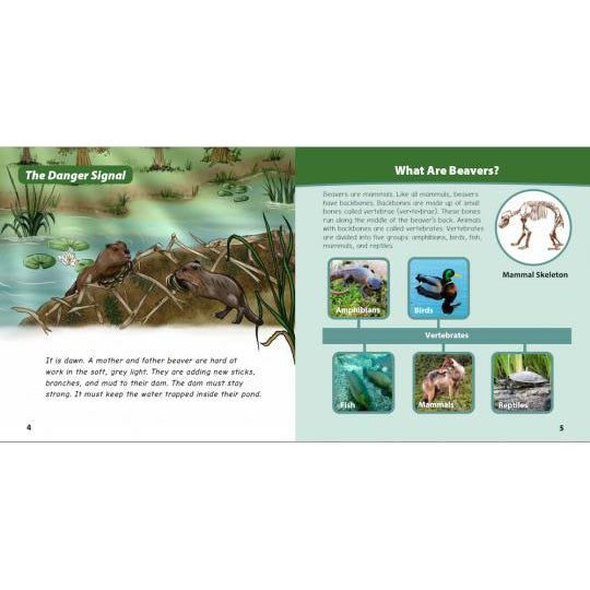 A Spring Adventure with Beavers-Strong Nations Publishing-Modern Rascals