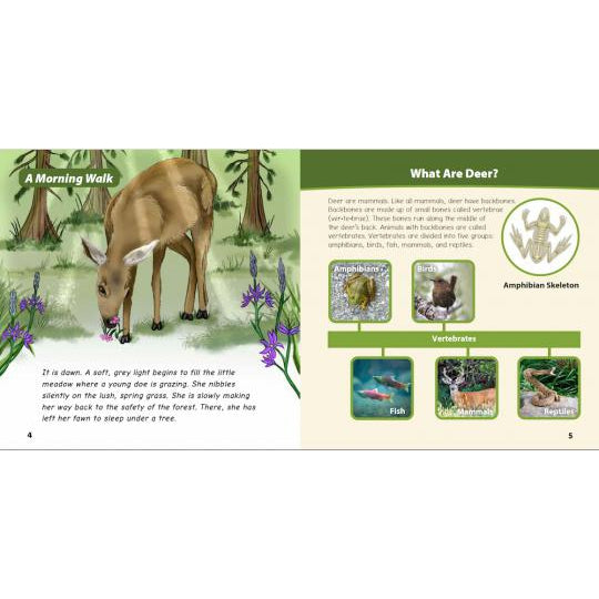 A Spring Adventure with Deer-Strong Nations Publishing-Modern Rascals