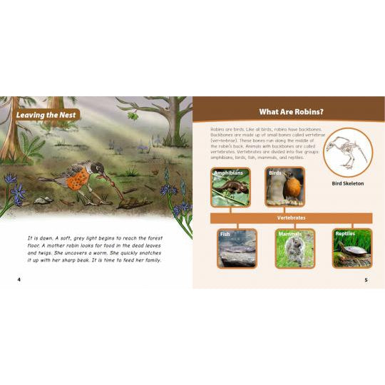 A Spring Adventure with Robins-Strong Nations Publishing-Modern Rascals