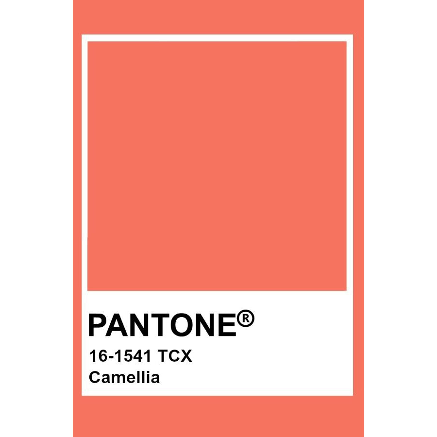 Adult's Camelia Baggy Pants-More Than A Fling-Modern Rascals