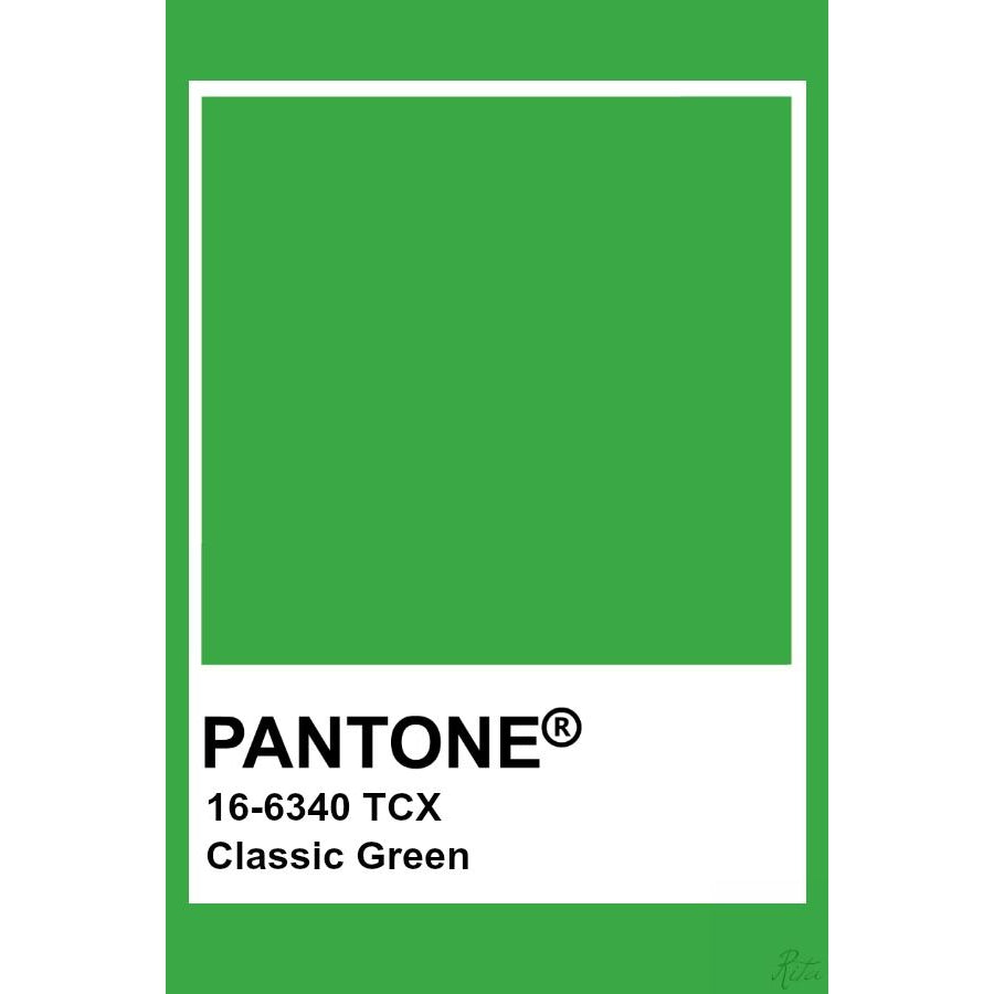 Adult's Classic Green Baggy Pants-More Than A Fling-Modern Rascals