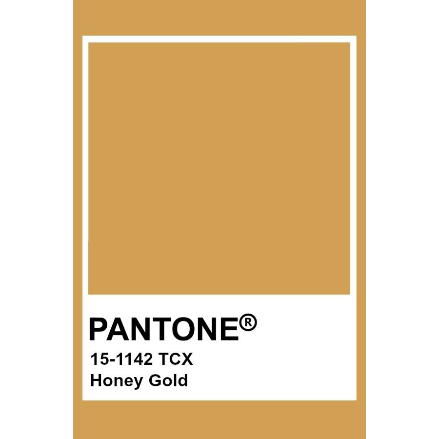 Adult's Honey Gold Baggy Pants - 1 Left Size XS-More Than A Fling-Modern Rascals