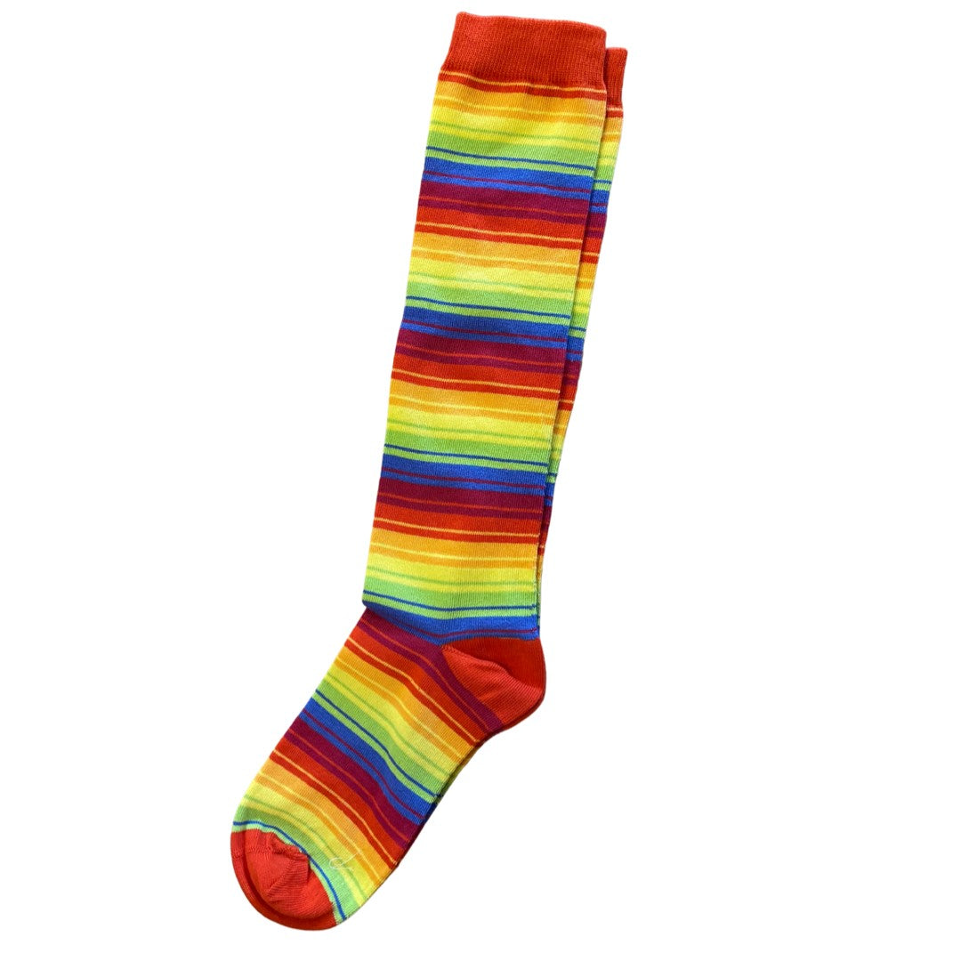 Adult's Rainbow Stripe Knee Socks-Slugs and Snails-Modern Rascals