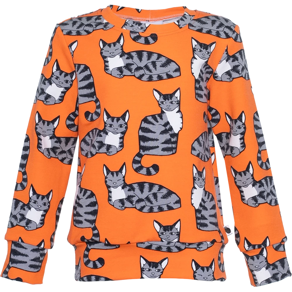 ALPI Cat Sweatshirt - 2 Left Size 2-3 & 3-4 years-PaaPii-Modern Rascals