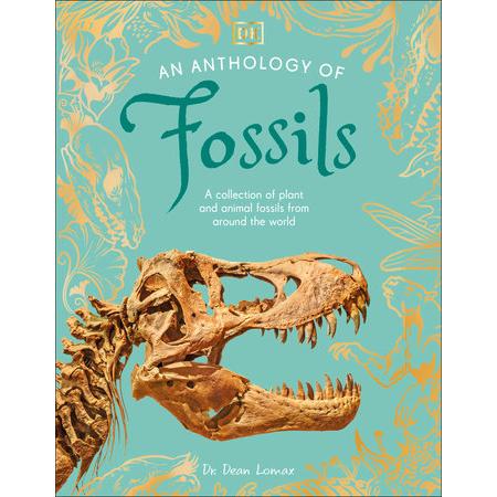 An Anthology of Fossils: A Collection of Plant and Animal Fossils From Around the World-Penguin Random House-Modern Rascals