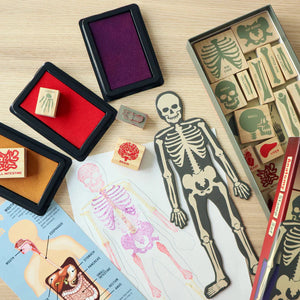 Anatomy Stamp Set-Huckleberry-Modern Rascals
