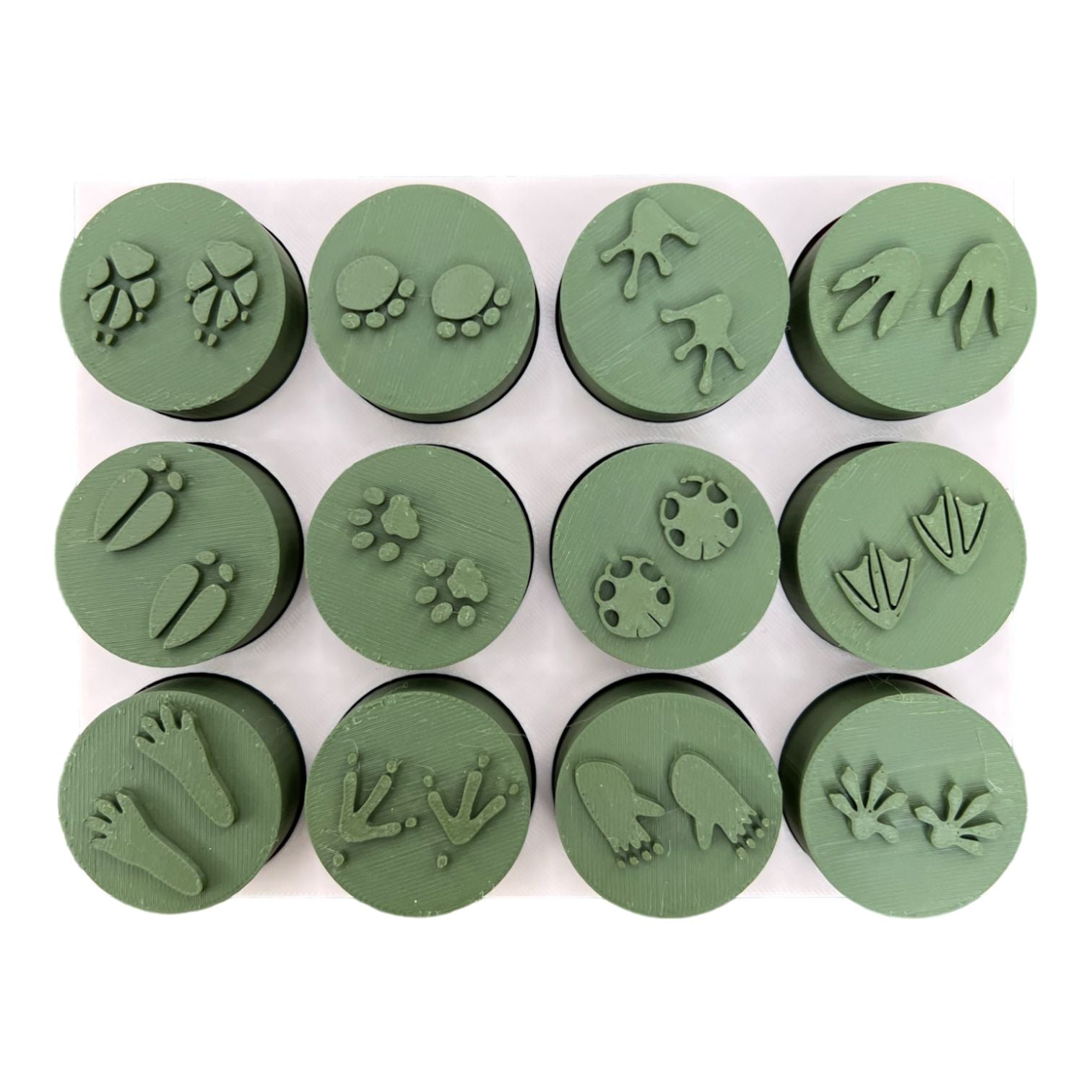 Animal Footprints EcoStamp Collection-CJ Eco-Play-Modern Rascals