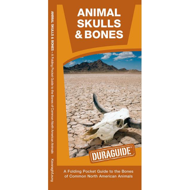 Animal Skulls & Bones, Laminated Pamphlet-National Book Network-Modern Rascals