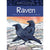 Animals Illustrated - Raven-Raincoast Books-Modern Rascals