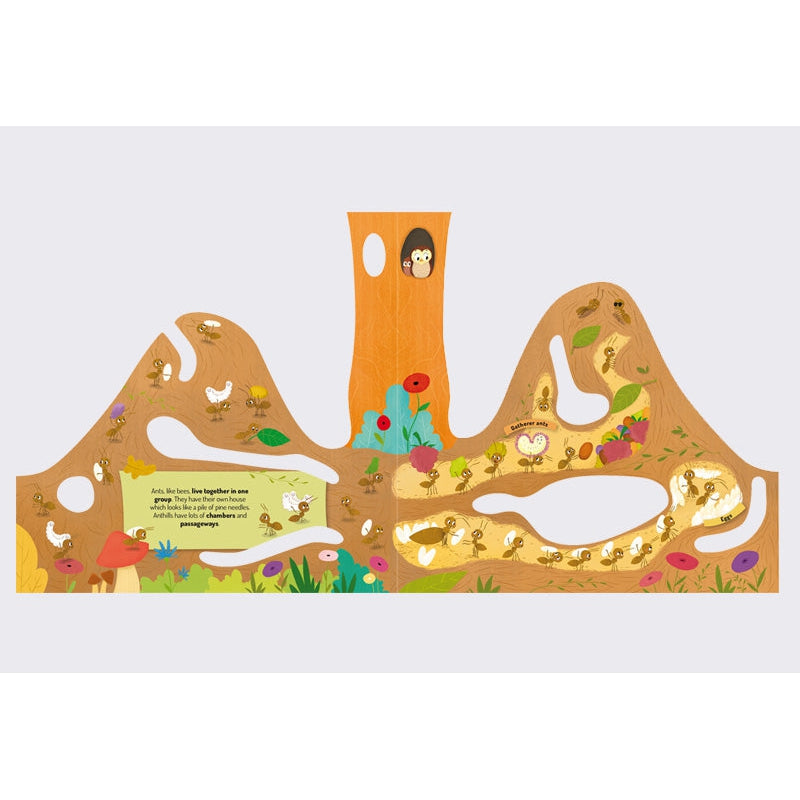 Anthill-Firefly Books-Modern Rascals