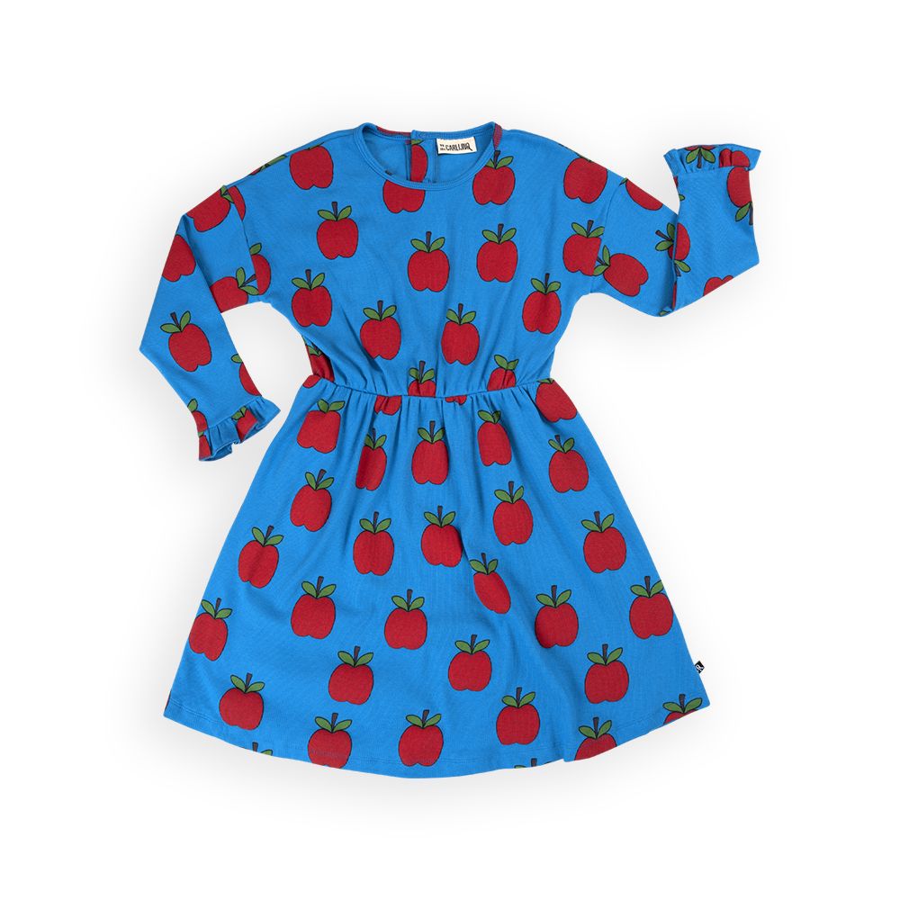 Apple Ribbed Long Sleeve Skater Dress - 1 Left Size 10-12 years-CARLIJNQ-Modern Rascals
