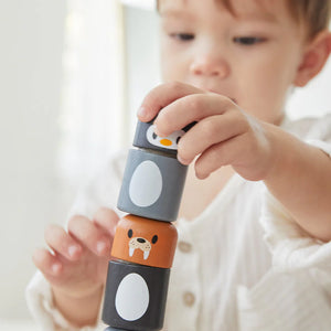 Arctic Animal Matching-PlanToys-Modern Rascals