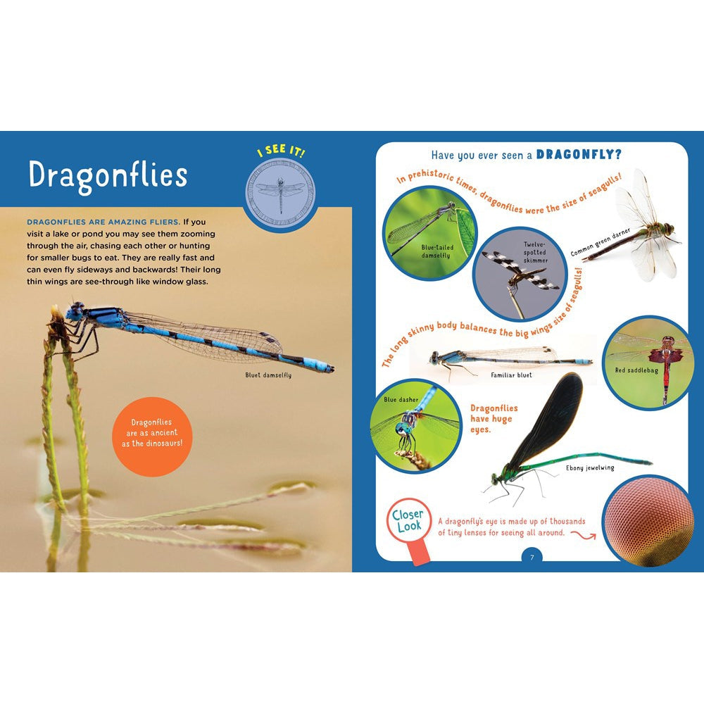 Backpack Explorer - Bug Hunt-Hatchette Group-Modern Rascals