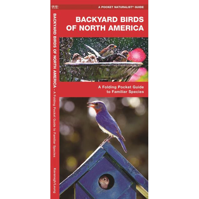 Backyard Birds of North America-National Book Network-Modern Rascals