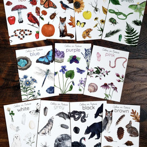 Backyard Nature Art Cards - Colour in Nature-Stephanie Hathaway Designs-Modern Rascals