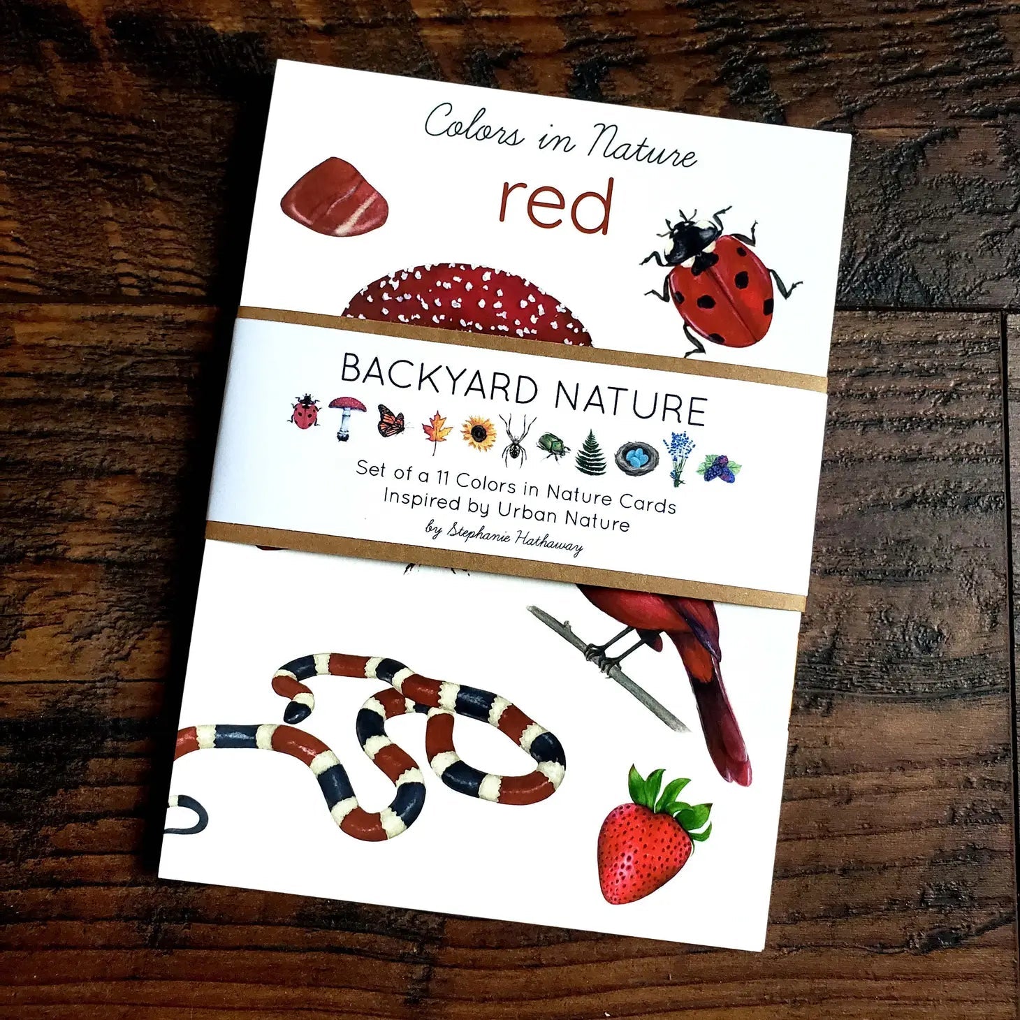 Backyard Nature Art Cards - Colour in Nature-Stephanie Hathaway Designs-Modern Rascals