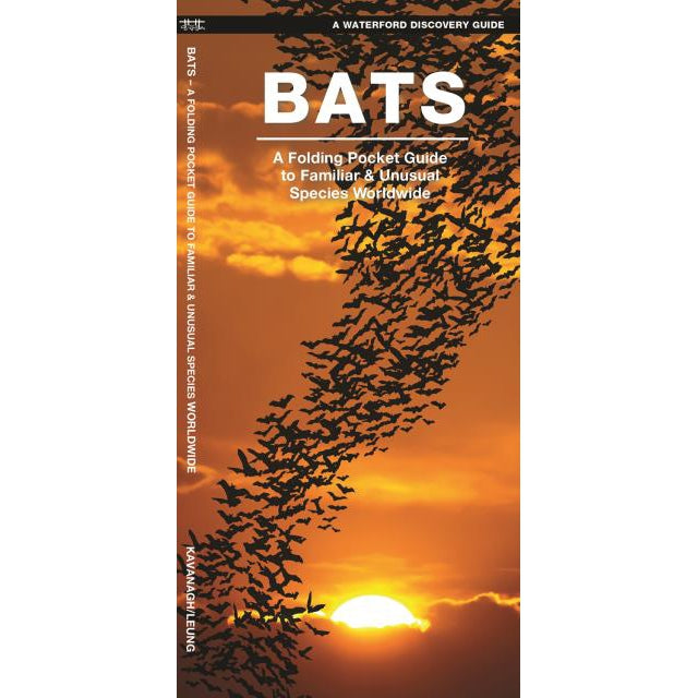 Bats-National Book Network-Modern Rascals