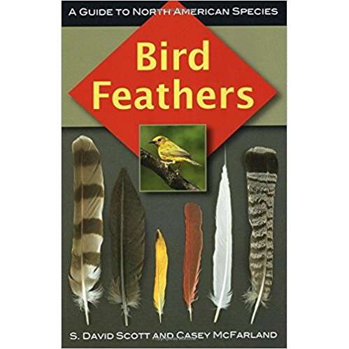 Bird Feathers - a Guide to North American Bird Species-National Book Network-Modern Rascals
