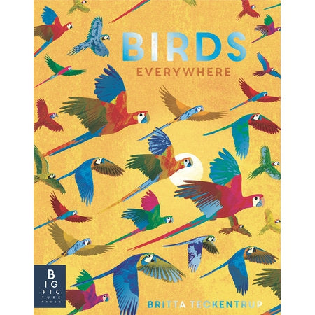 Birds Everywhere-Penguin Random House-Modern Rascals