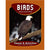Birds Nature Activity Book-National Book Network-Modern Rascals