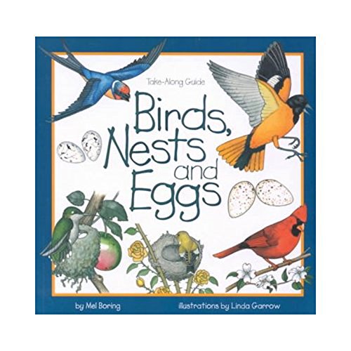 Birds, Nests and Eggs: Take-Along Guide-National Book Network-Modern Rascals
