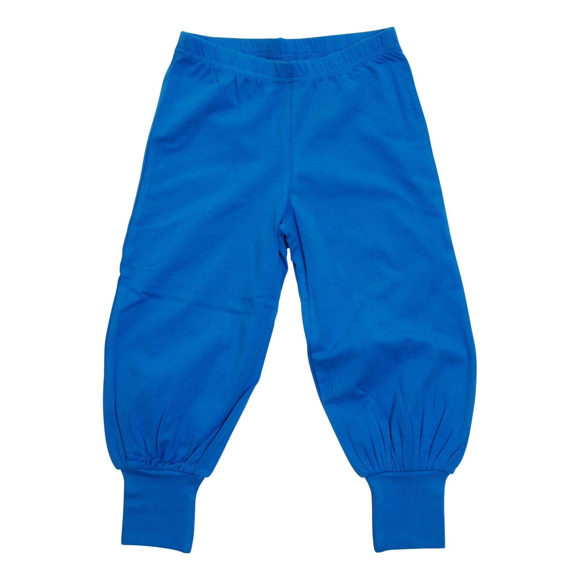 Blue Aster Baggy Pants - 1 Left Size 12-14 years-More Than A Fling-Modern Rascals