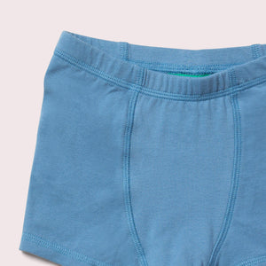 Blue Organic Underwear Set - 3 Pack - 1 Left Size 3-4 years-Little Green Radicals-Modern Rascals