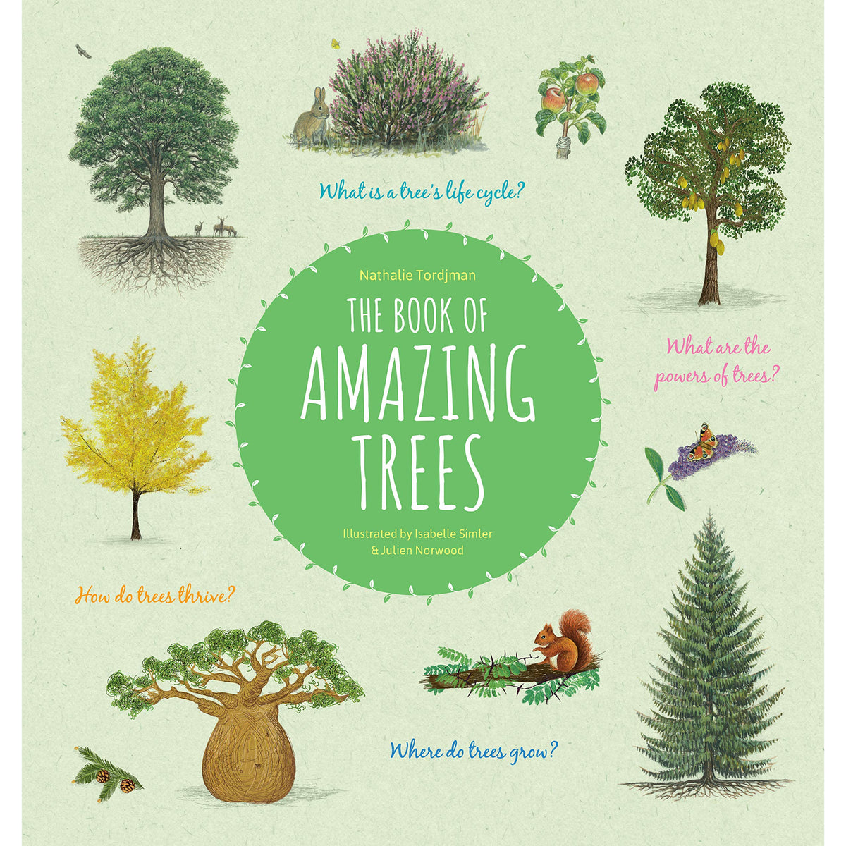 Book of Amazing Trees-Raincoast Books-Modern Rascals